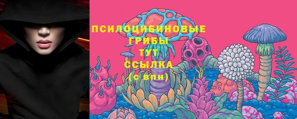 COCAINE Богородицк
