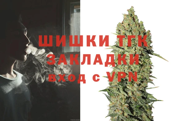 сатива Богородск