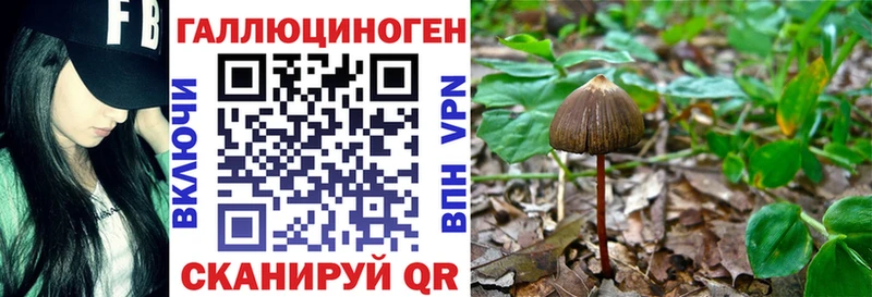 Галлюциногенные грибы ЛСД Жердевка